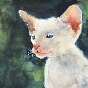 Custom pet portrait, original watercolor painting, cat painting, dog painting