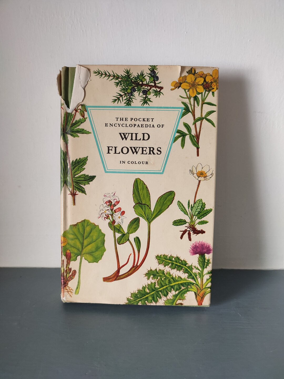 Vintage Wild Flower Book Pocket Book of Wild Flowers 2nd Etsy UK