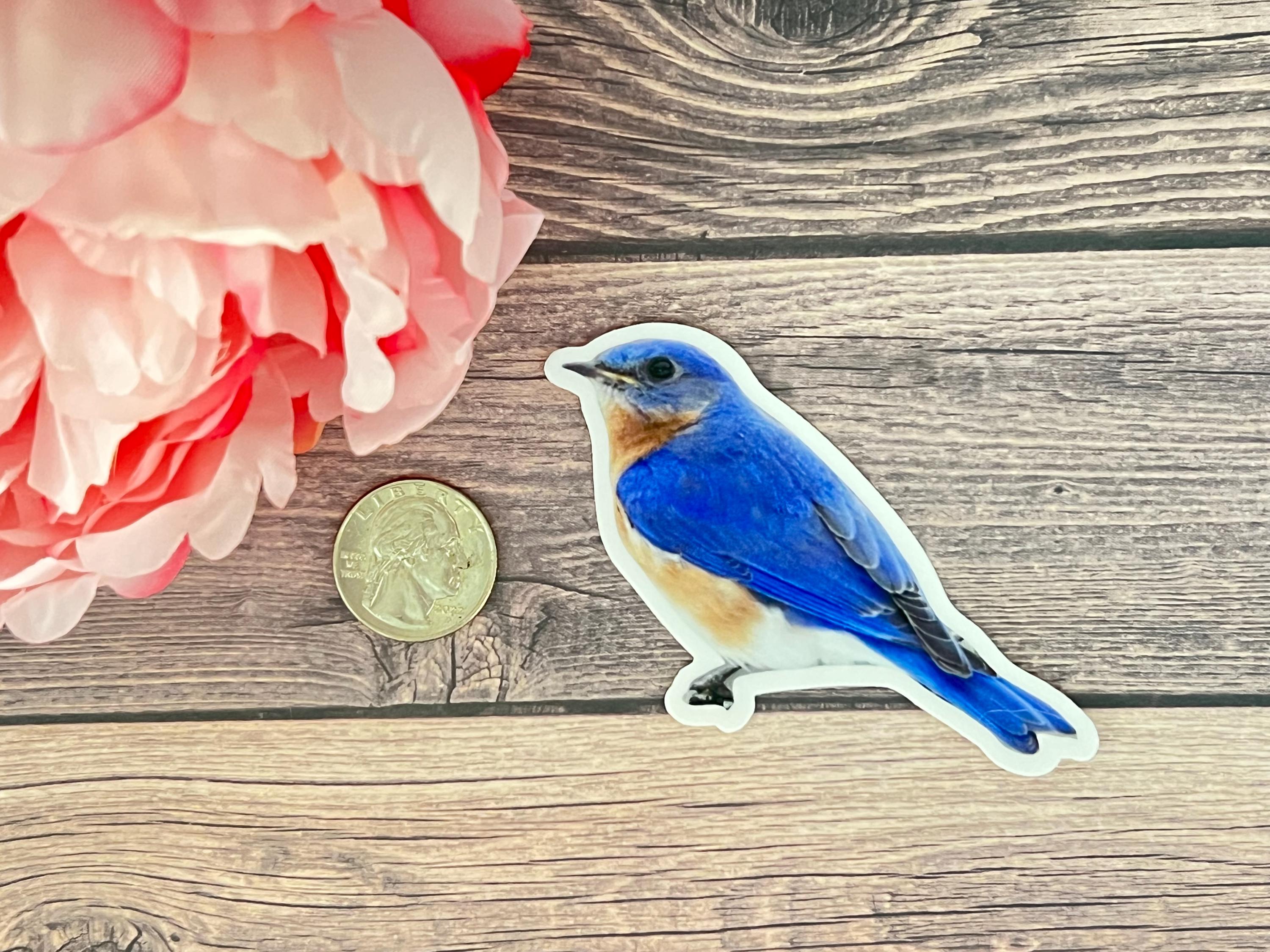 Bluebird Vinyl Sticker - Etsy