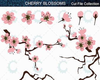 Cherry Blossom Svg Etsy