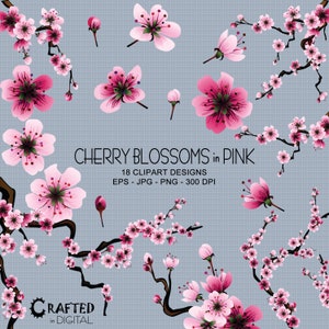 Pink Sakura/Cherry Blossom Clipart Collection image 1