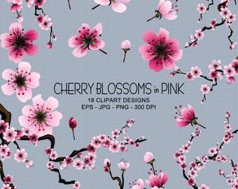 Pink Sakura/Cherry Blossom Clipart Collection