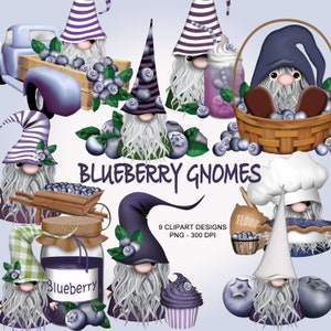 Blueberry Gnomes - Summer Clipart Collection