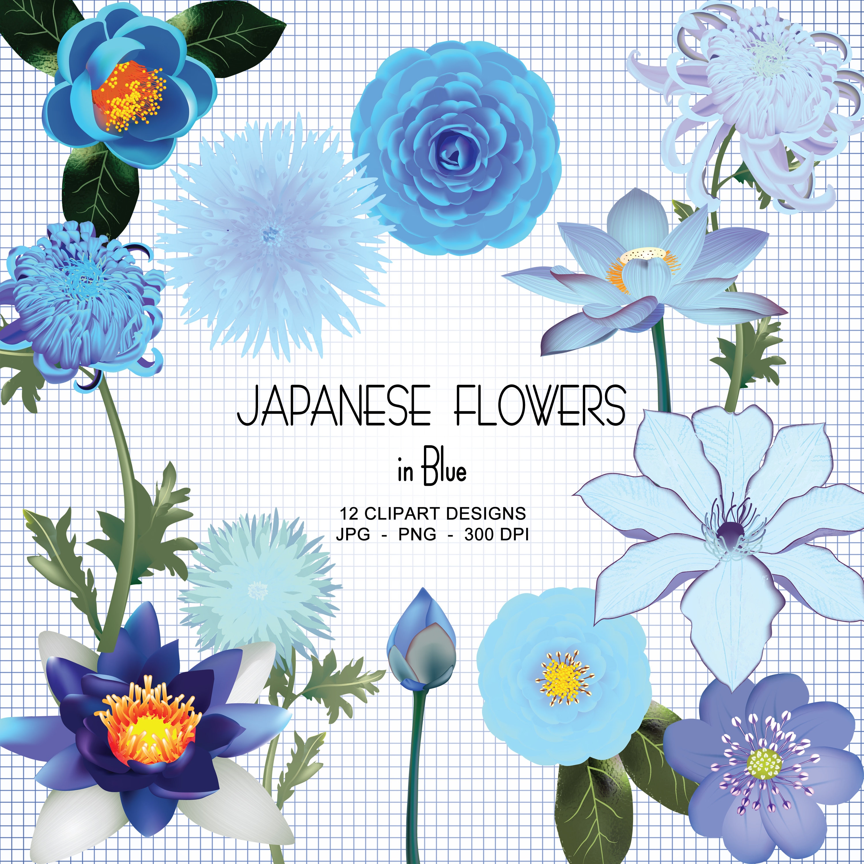 Colección Blue Japanese Flower Clipart | Etsy