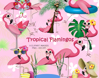 Tropical Flamingos - Colourful and Fun Bird Clipart Collection