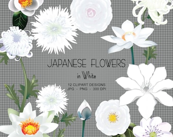 Pink and White Flowers Clipart "japanese Anemones" Botanical ...
