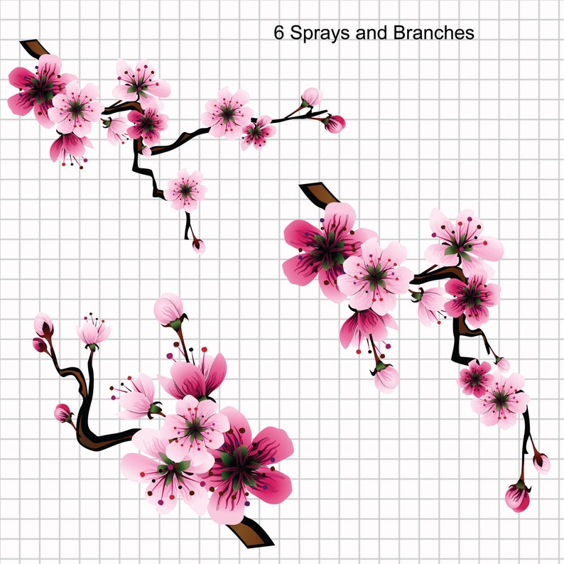 Pink Sakura/Cherry Blossom Clipart Collection image 3