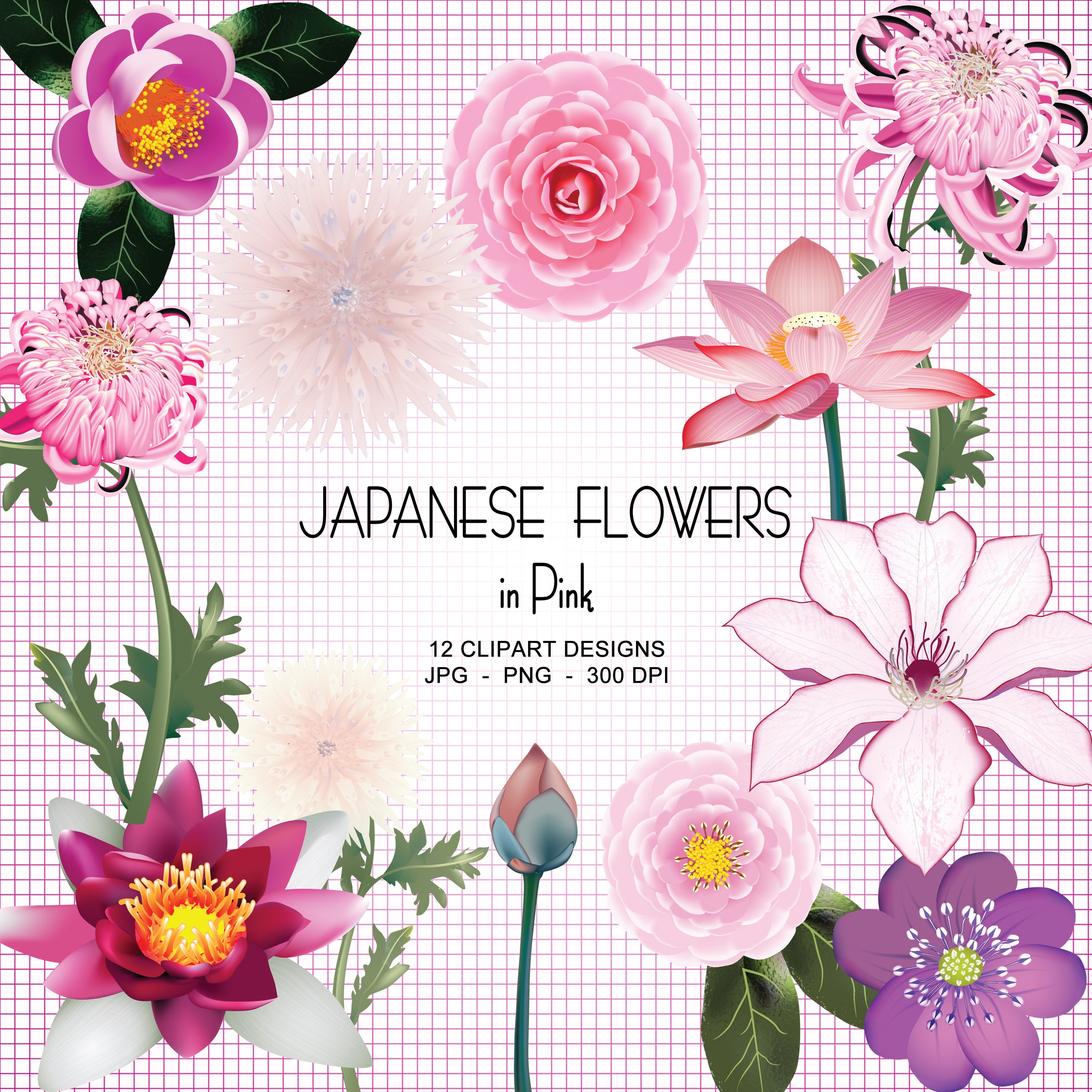 Pink Japanese Flower Clipart Collection | Etsy