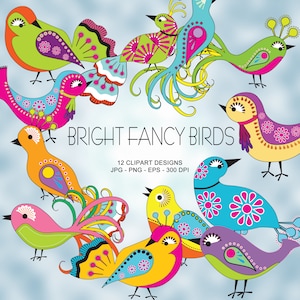 Coleção de clipart de pássaros brilhantes e extravagantes