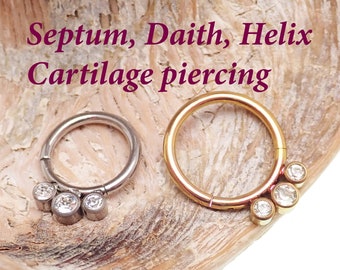 Implantat Titan 16g Gångjärnsförsedd Klicker · Septum/Daith/Helix/Näs/Smiley piercing · 8 mm, 10 mm