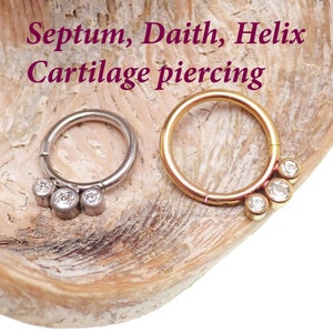 Implant Titanium  16g Hinged Clicker · Septum/Daith/Helix/Nose/Smiley piercing · 8mm, 10mm