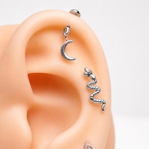 May include: A silver-coloured metal earring featuring a dangling crescent moon charm attached to a stud, positioned above a separate silver-coloured metal earring shaped like a coiled snake, both secured in a flesh-toned ear model for display.