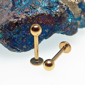 14g Gold Titanium Flatback Post Lip Ring ( Cartilage, Helix, Labret, Medusa, Plitrum, Tragus, Conch,