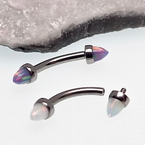 May include: Two surgical steel nipple barbells with opal ends. One barbell has a purple opal end and the other has a white opal end.