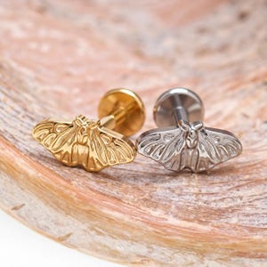 Moth Titanium Flatback Piercing: Internally Threaded (18g, 16g, 14g)