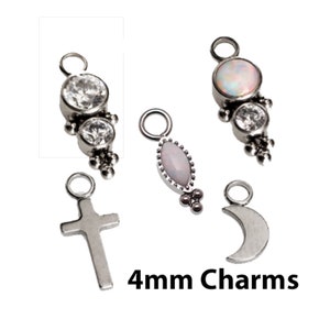Add-On Titanium Charms to Hoops & Piercings - Hoops Sold Seperately