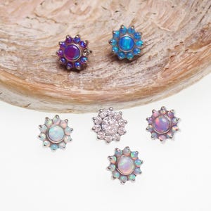 デイジー皮膚インプラント チタン製 内ネジ式トップ 14g