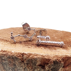 18kt Platinum-Dipped Zodiac Constellation Earrings - Sold in Pairs