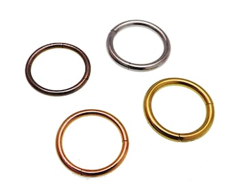 Anillo de segmento de titanio con bisagras • 16 g 14 g Perforación para tabique, hélix y pezón