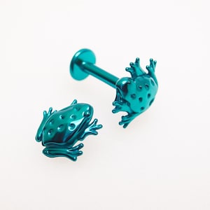 Könnte beinhalten: Türkisfarbener Körperschmuck in Froschform. Ein Teil hat eine flache Scheibe und einen Stab mit einem Frosch am Ende. Der andere ist ein Frosch. Der Schmuck besteht aus glänzendem, metallischem Material. Der Frosch hat detaillierte Merkmale, einschließlich Augen und strukturierter Haut.