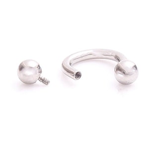 May include: A silver circular barbell with a ball on each end. The barbell is separated into two pieces, the curved barbell and the ball with a threaded post.