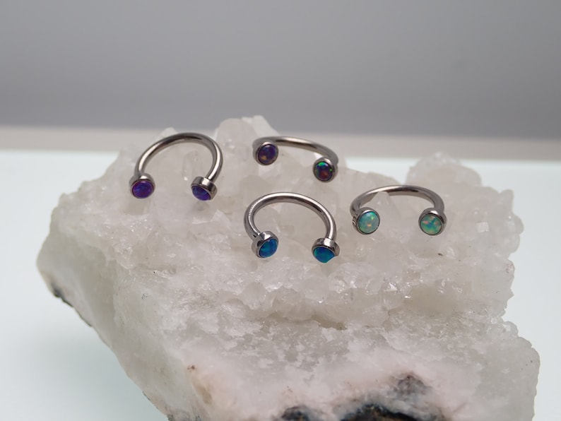 16g Horseshoe Ring Implant Titanium ASTM F136 With Flat Opals Etsy