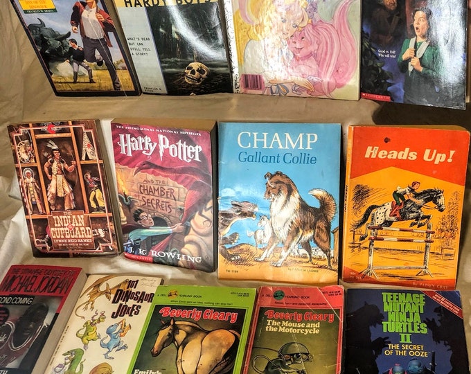 1980s Kids Book Lot