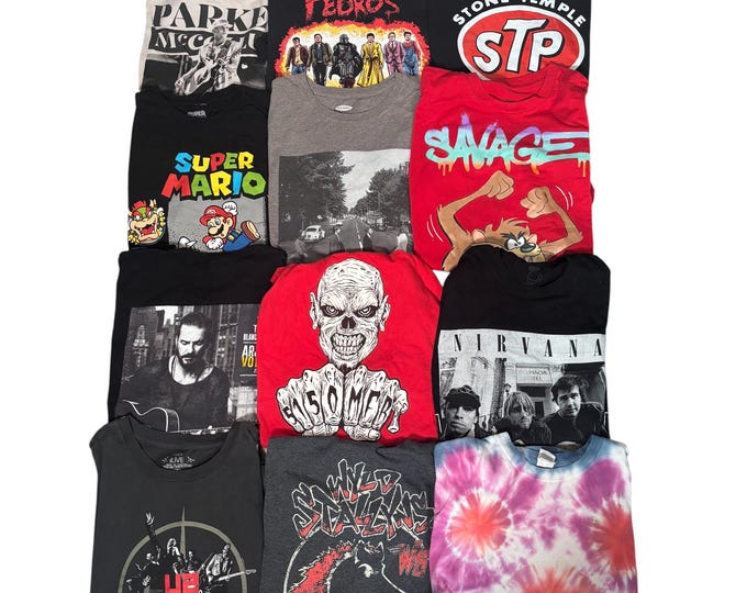 Vintage Estate Sale T Shirts Y2K 90s to 2000s Choice of One wild stalzyns, Nirvana, Stone Temple Pilots, The Pedros, Taz, U2, LOT 43