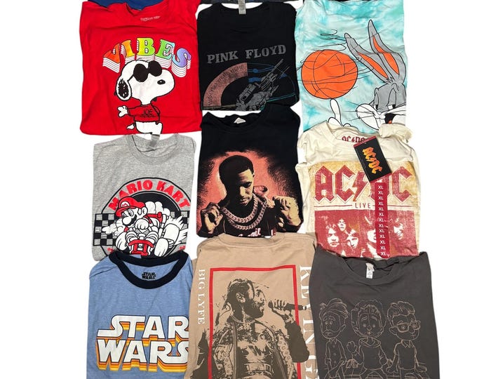 Vintage Estate Sale T Shirts Y2K 90s to 2000s Choice of One Snoopy, AC/DC, Star Wars, SpaceJam, LOT 26