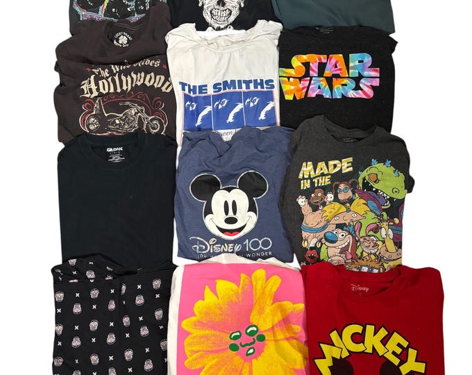 Vintage Estate Sale T Shirts Y2K 90s to 2000s Choice of One Star Wars, Mickey Mouse, Single Stitch, Monster Truck, LOT 28