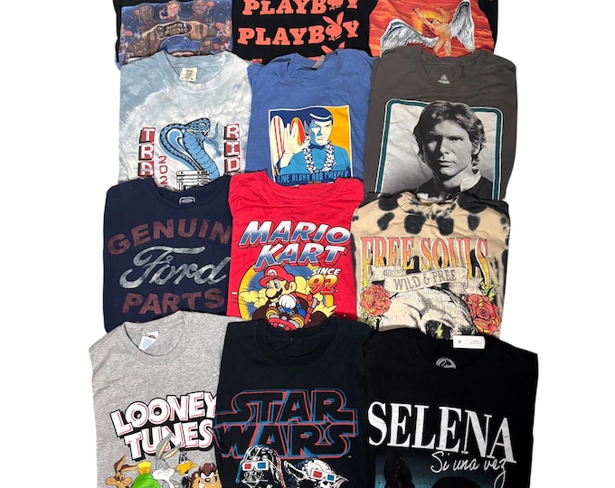 Vintage Estate Sale T Shirts Y2K 90s to 2000s Choice of One Looney Tunes, Star Wars, Mario, Playboy, Ford, Star-trek, LOT 38