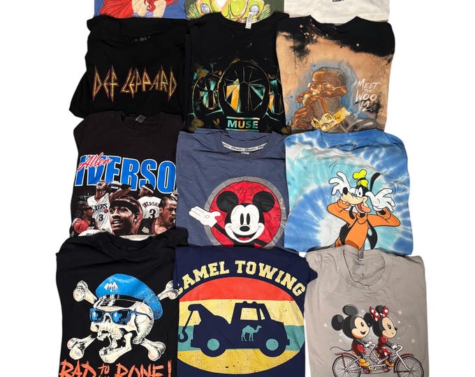 Vintage Estate Sale T Shirts Y2K 90s to 2000s Choice of One Disney, NBA, Def Leppard, LOT 34