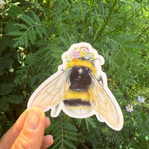 Queen Bee large vinyl waterproof Owl sticker