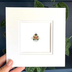 May include: A watercolor painting of a bumblebee reading a book, set within a white mat. The bee is depicted with yellow and black stripes, holding a red book. The artwork is presented against a dark blue background.