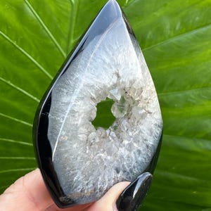 May include: A polished, teardrop-shaped crystal geode with a black exterior and a hollow, crystalline interior. The geode is held against a backdrop of a large, green leaf.
