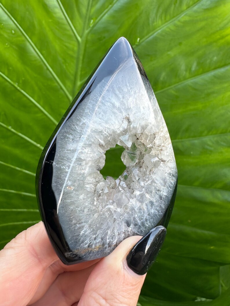 May include: A polished, teardrop-shaped crystal geode with a black exterior and a hollow, crystalline interior. The geode is held against a backdrop of a large, green leaf.