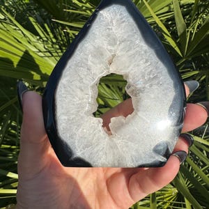 May include: A teardrop-shaped geode with a black exterior and a white, crystal-filled interior. The geode is held against a backdrop of green foliage, showcasing its natural beauty and unique form. The geode is a decorative item.