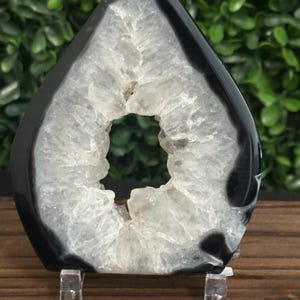 May include: A polished, teardrop-shaped geode with a black exterior and a crystalline, white interior. The geode is displayed on a clear acrylic stand, showcasing its natural beauty. The background features green foliage.