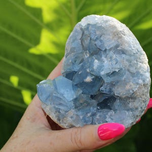 May include: A celestite crystal cluster featuring numerous pale blue, translucent, prismatic crystals clustered within a rough, greyish-white rocky exterior. The mineral specimen displays a jagged, crystalline texture with varying shades of blue.