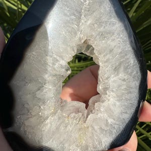 May include: A polished, teardrop-shaped geode with a black exterior and a crystalline white interior. The geode has a central cavity, showcasing the natural formation of quartz crystals. The stone is held in a hand, with green foliage in the background.