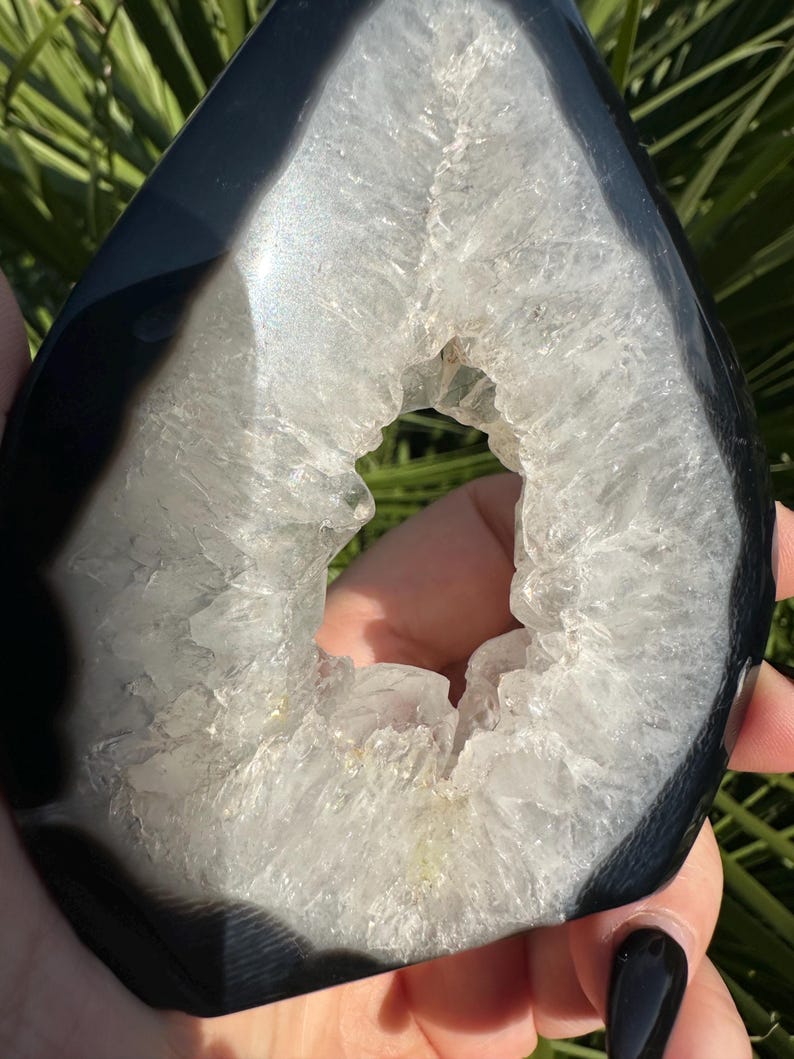 May include: A polished, teardrop-shaped geode with a black exterior and a crystalline white interior. The geode has a central cavity, showcasing the natural formation of quartz crystals. The stone is held in a hand, with green foliage in the background.