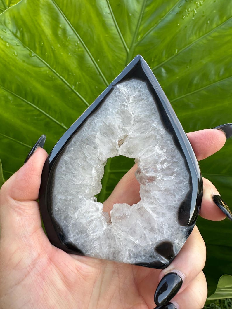 May include: A teardrop-shaped, polished black and white crystal geode. The geode has a black outer layer and a white, crystalline interior with a central cavity. The geode is held against a backdrop of large, green leaves.
