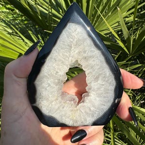 May include: A teardrop-shaped, polished black and white geode. The geode has a dark, glossy exterior with a white, crystalline interior. The geode is held against a backdrop of green foliage, highlighting its natural beauty.