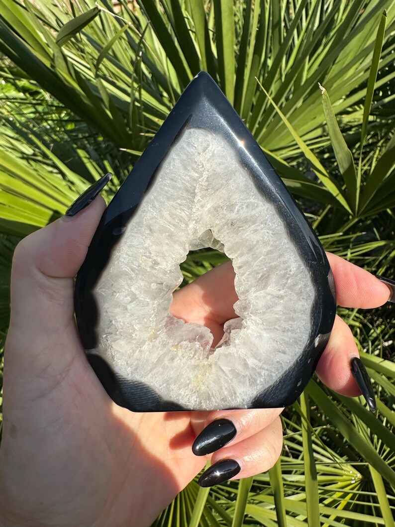 May include: A teardrop-shaped, polished black and white geode. The geode has a dark, glossy exterior with a white, crystalline interior. The geode is held against a backdrop of green foliage, highlighting its natural beauty.