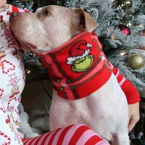 Dog Snood- fleece holiday