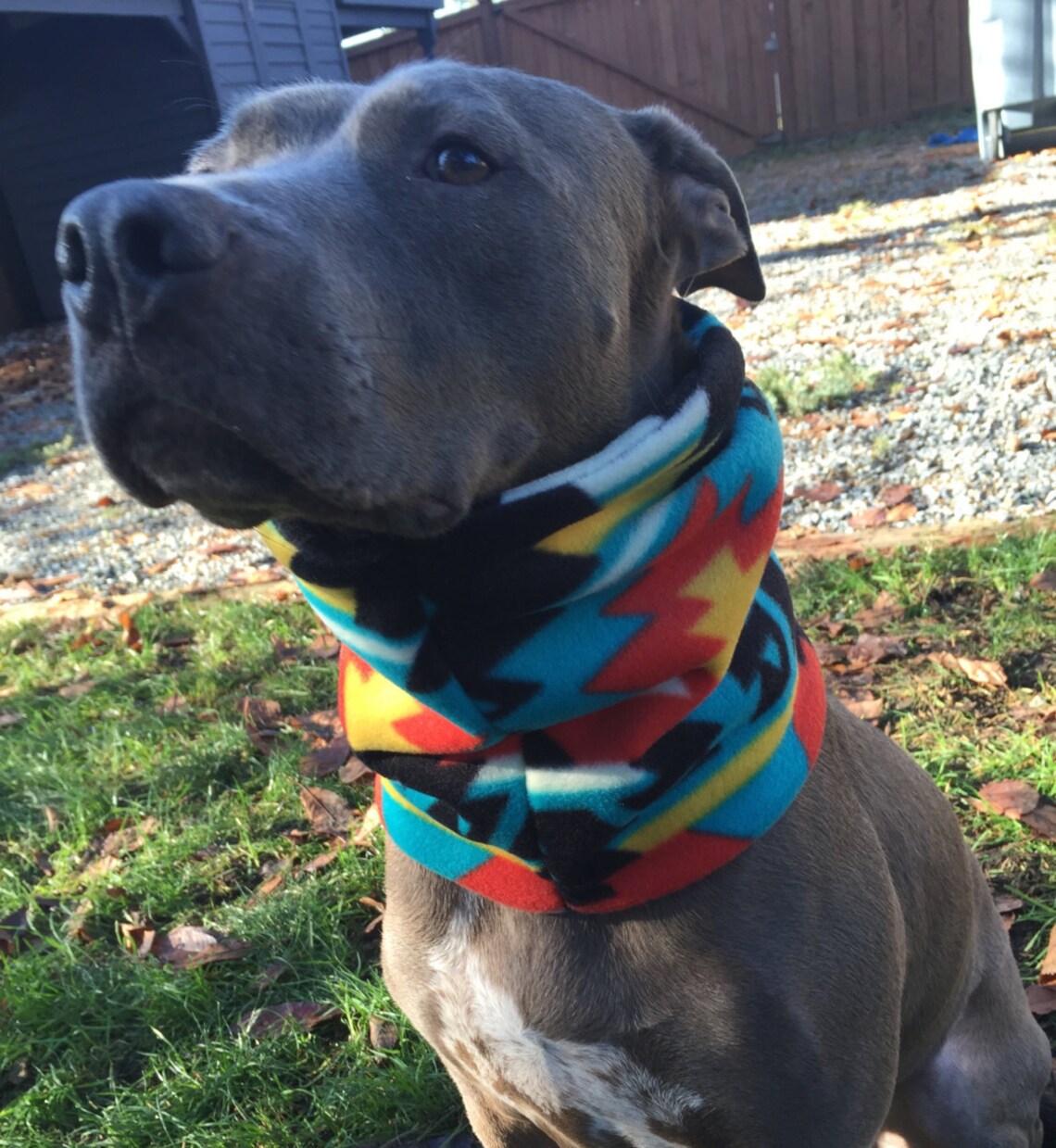 Fleece Dog Snood Design Etsy