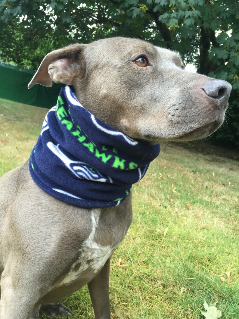 Seattle Seahawks Snood