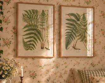 Set of Two Fern Vintage Posters, Botanical Wall Art (Unframed)