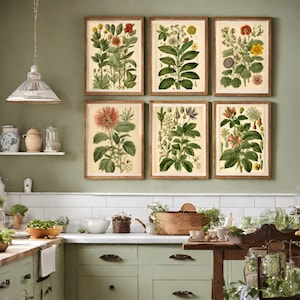 Set 6 Küchendrucke,  Illustrationen gartenpflanzen, Feldpflanzen Bilder, Grafiken für grüne Pflanzen, Vintage bilder, Bauernhausdekor Poster