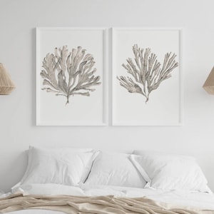 2 coral prints, beige coral wall art, watercolor painting coral, coral drawing, home decor, hamptons room ornament, gray  gallery posters